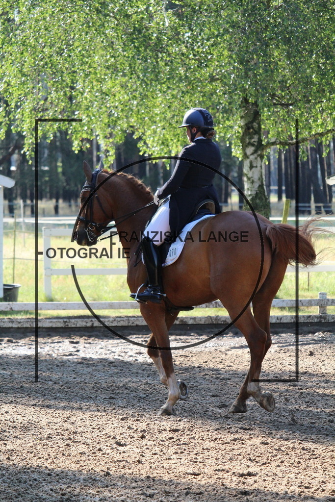 IMG_6015 | franziskalange - Realisiert mit Pictrs.com