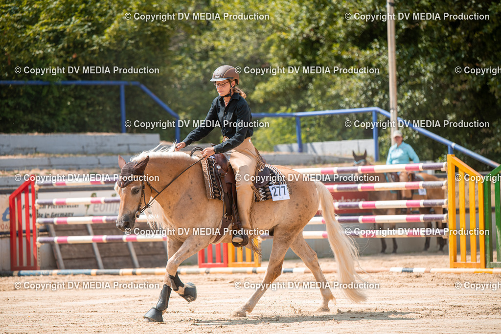 ZS2_8318 | dv-media-shop - Realisiert mit Pictrs.com