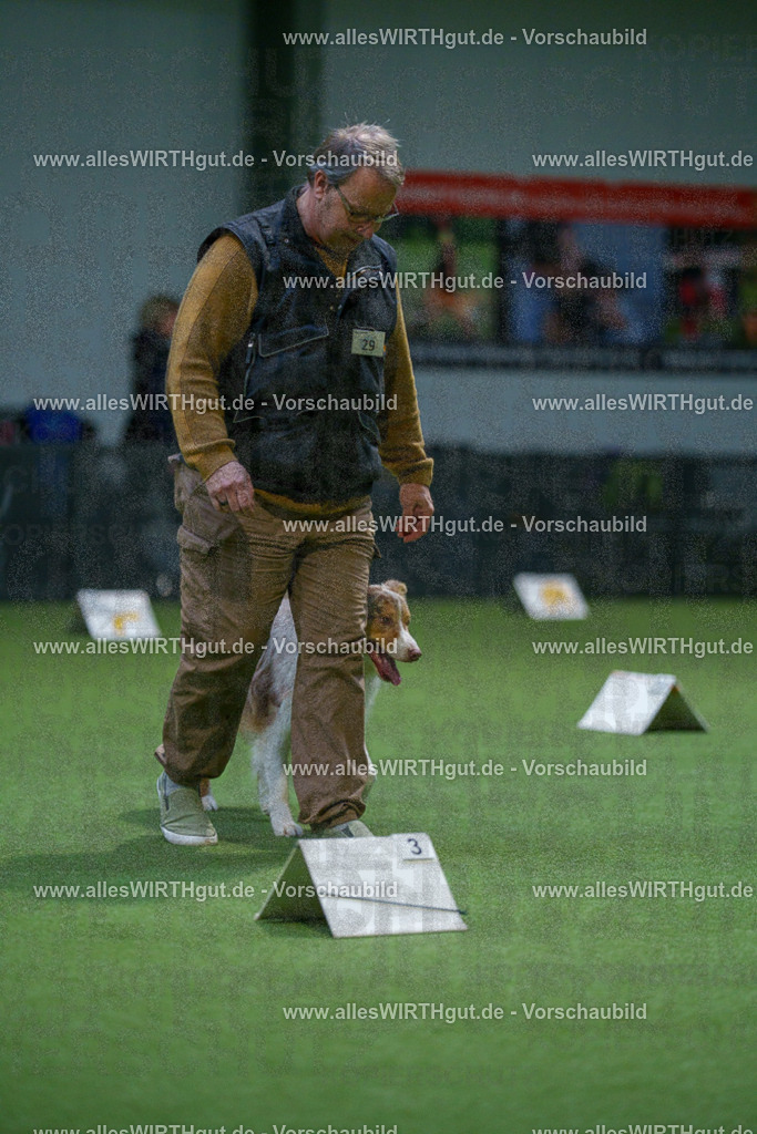 7R500528 | Professionelle Tierfotografie in Mönchengladbach von Daniel Wirth (allesWIRTHgut). Liebevolle & natürliche Bilder von Hunden & Katzen für unvergessliche Erinnerungen.