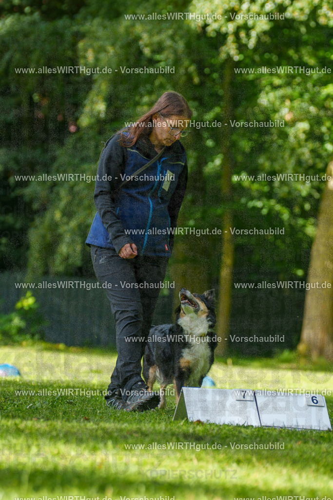 @allesWIRTHgut_Tierfotografie - www.allesWIRTHgut.de - 082700-7R506199 | Professionelle Tierfotografie in Mönchengladbach von Daniel Wirth (allesWIRTHgut). Liebevolle & natürliche Bilder von Hunden & Katzen für unvergessliche Erinnerungen.