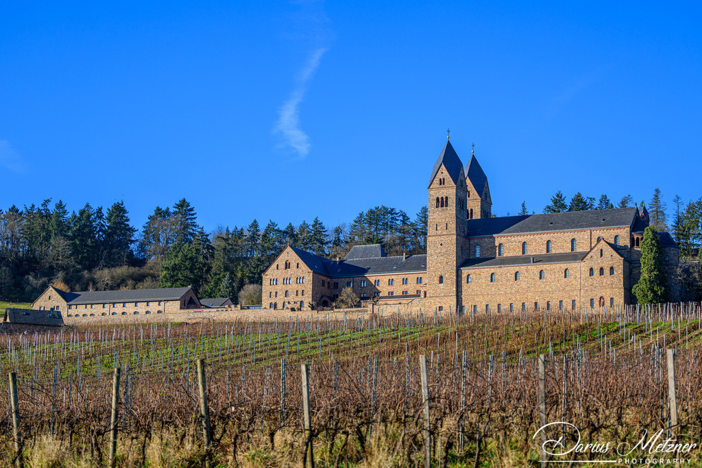 DSC_9188 | Fotografien, Fotos und Bilder aus Mainz, Frankfurt, Wiesbaden und anderen Orten auf der Welt - Fotografiert von Darius Metzner