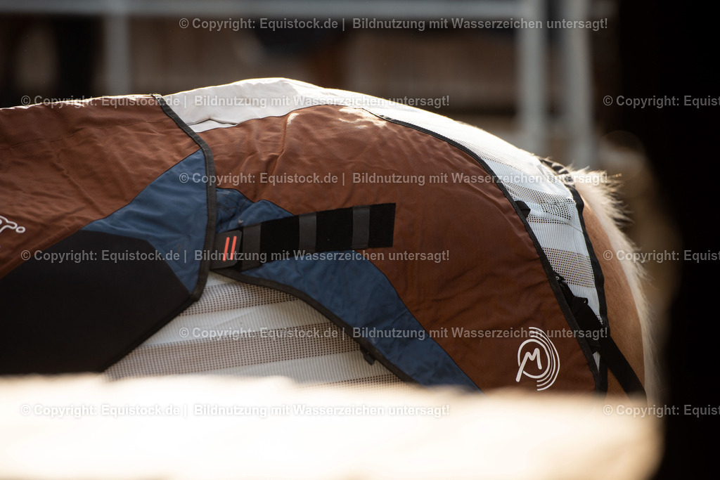 20200928_Bemer_Decke_0002 | equistock