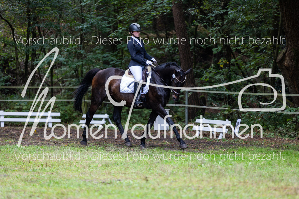 HB-A-Dressur-114 | MomenTaufnahmen Pferdesportfotos