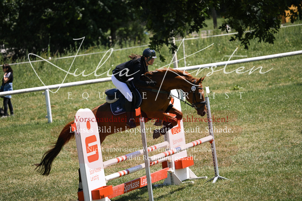 DSC_9964 | Pferde- und Turnierfotografie in Westsachsen. Pferdeportraits, Auftragszeichnungen und intuitive Kunst.