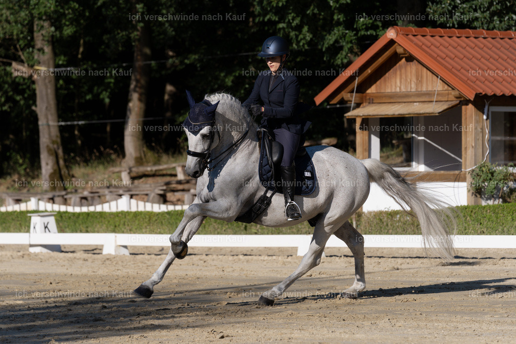 WM_DR_143_sinafilmart_IN04574 | working equitationturnier fotograf videograf stoibphotography marixx film working equitation deutschland reitsport turnierfotografie eventfotografie equestrian events