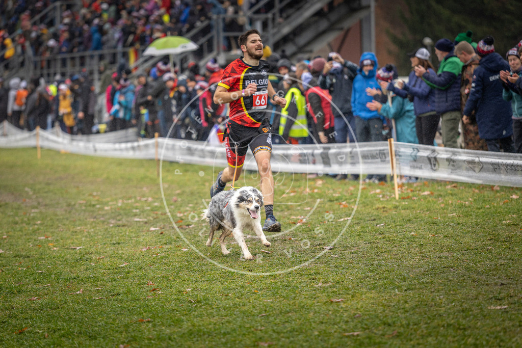 CaniXpix_DV3A9957 | Hundefotografie, Tierfotograf, Pfotenfotografie, Fotoshooting Hund, Hunde Portrait, Hundesport, Hundeportraits, Heideshooting, Hunde, Sportfotograf, Hundefotograf, Turnierhundsport, THS,  - Realisiert mit Pictrs.com