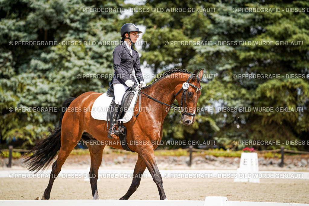 DSC02576 | Pferdegrafie