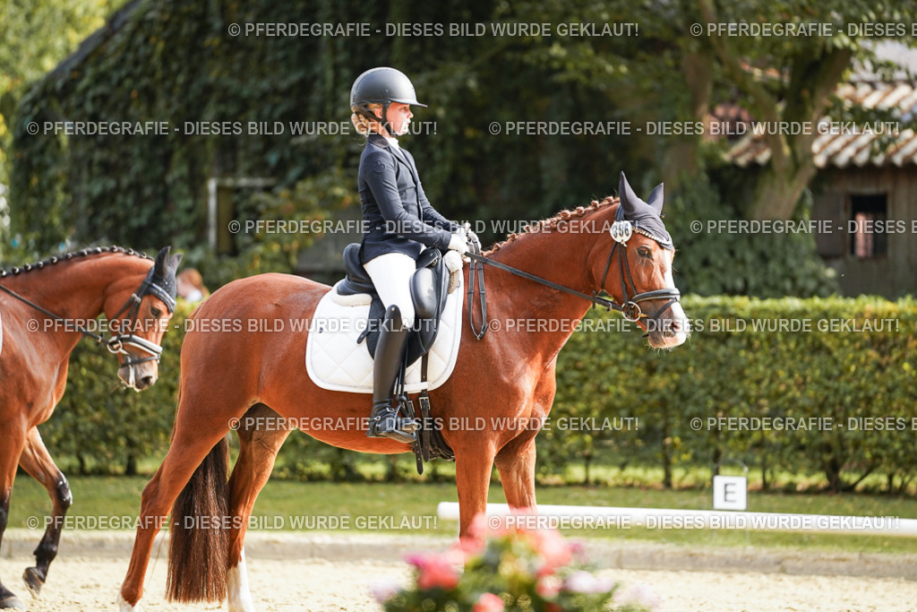 DSC05247 | Pferdegrafie