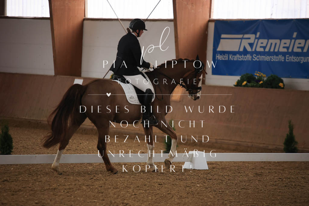 IMGT8895 | pl-fotografie