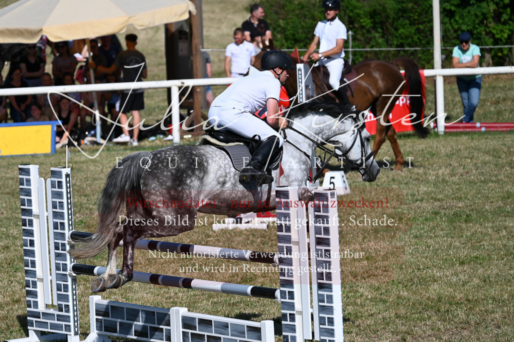 DSC_2238 | Pferde- und Turnierfotografie in Westsachsen. Pferdeportraits, Auftragszeichnungen und intuitive Kunst.