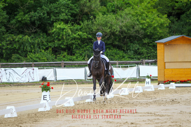 DKP46273 | Turniersportfotografie; Pferdefotografie; Dressurfotografie