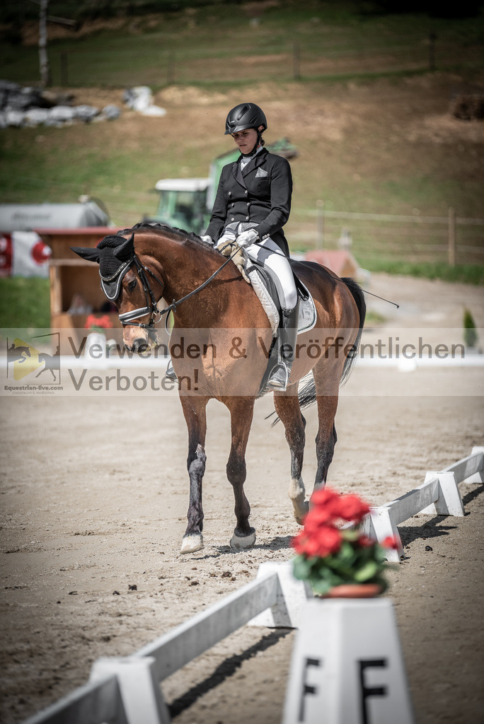 DSC_2095 | equestrian-live-com