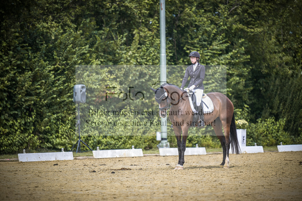 DOS_3370 | Entdecke hochwertige Reitturnierfotos von Foto Oger. Professionell, emotional und authentisch – jetzt Lieblingsmomente im Shop bestellen.Deutschlandweite Turnierfotografie. - Realisiert mit Pictrs.com