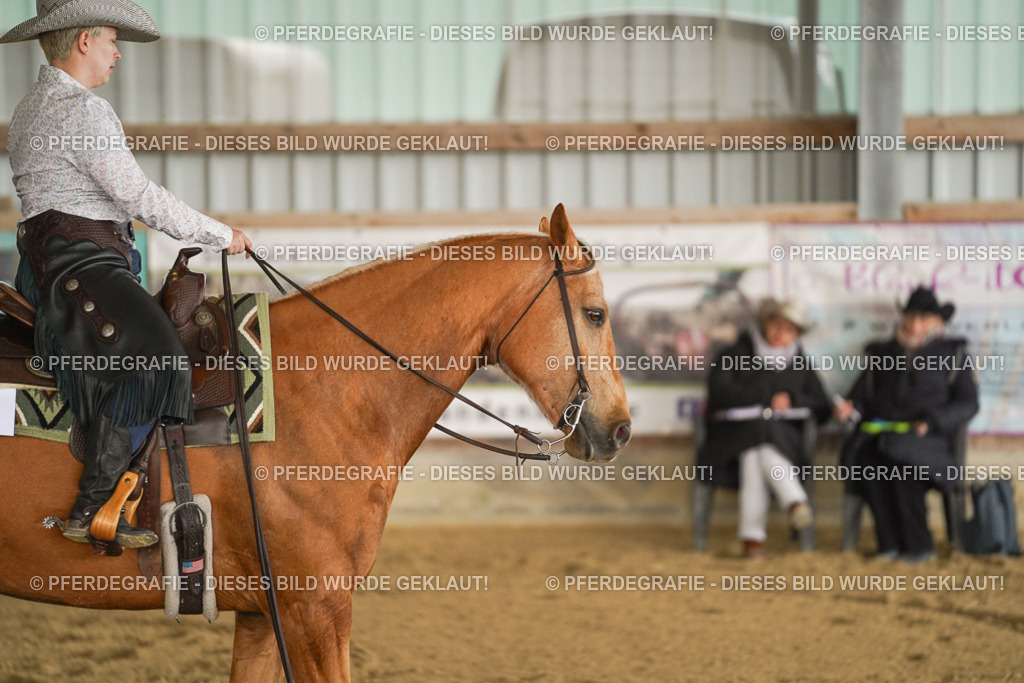 DSC02525 | Pferdegrafie