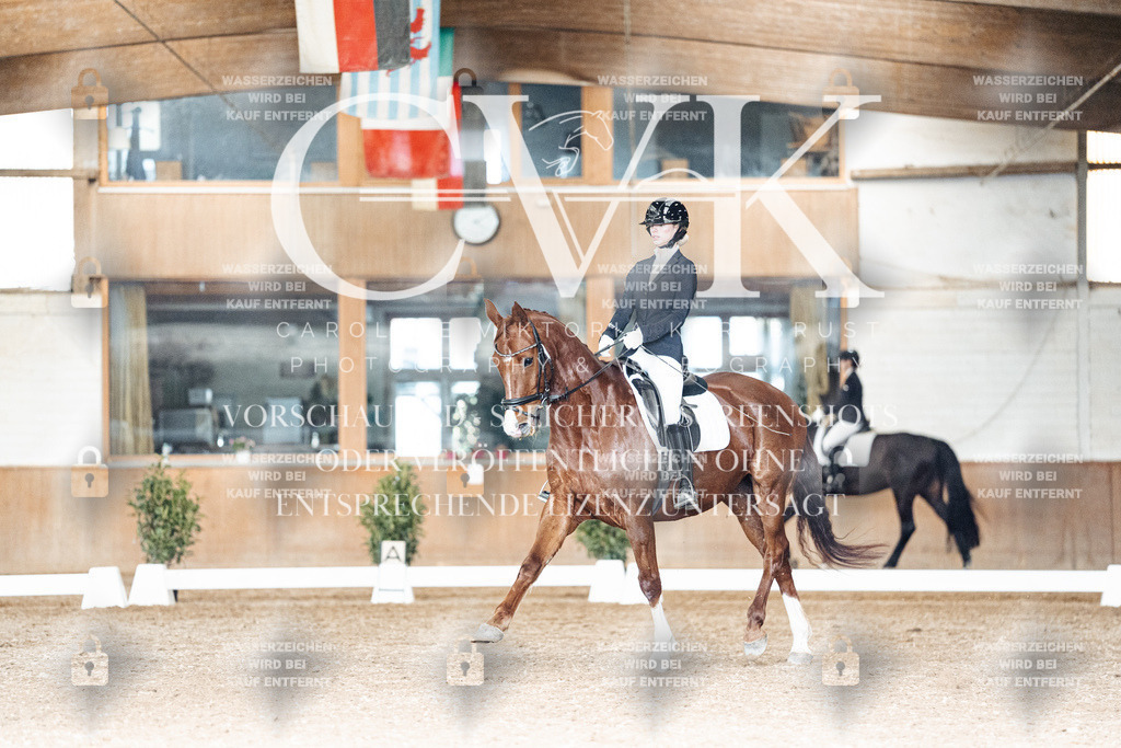 CK902403 | Turnierfotografie Pferdefotografie Trier Rheinland-Pfalz Pferdesport Reitsport Tierfotografie Sportfotografie Pferdevideo Pferdevideografie Equestrianvideography equestrianphotography  - Realisiert mit Pictrs.com