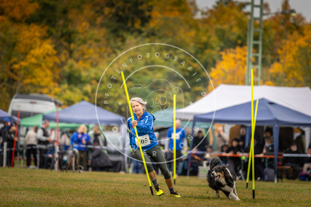 Pfotenfotografie_DV3A2094 | Hundefotografie, Tierfotograf, Pfotenfotografie, Fotoshooting Hund, Hunde Portrait, Hundesport, Hundeportraits, Heideshooting, Hunde, Sportfotograf, Hundefotograf, Turnierhundsport, THS,  - Realisiert mit Pictrs.com