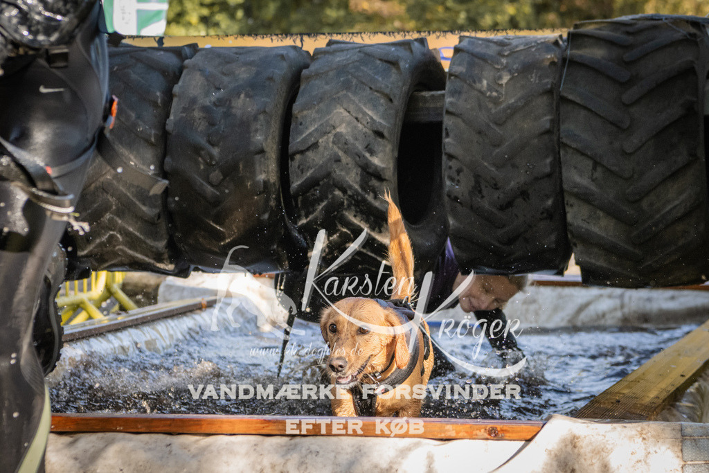 1100_ZZ93059 | kk-dogfotos