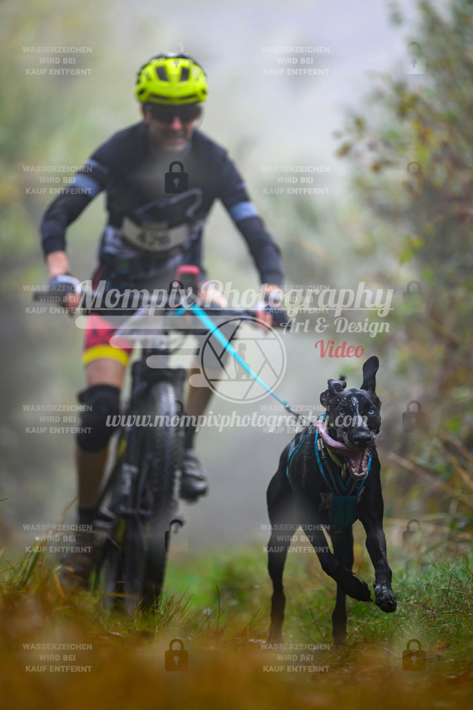 MompixPhotography_20TSB_E4_Bike-69 | PayLife