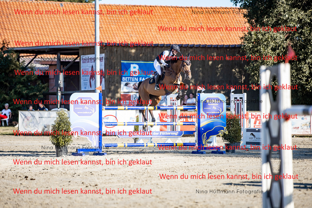 BK1A8299 | Turnierbilder Turnierfotos Nina Hüffmann Turnierfotografie Pferdefotografie Tierzeichnung Haustierzeichnung Pferdezeichnung Hundezeichnung Videograf  - Realisiert mit Pictrs.com