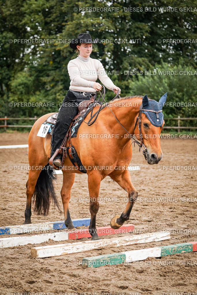 DSC04499 | Pferdegrafie