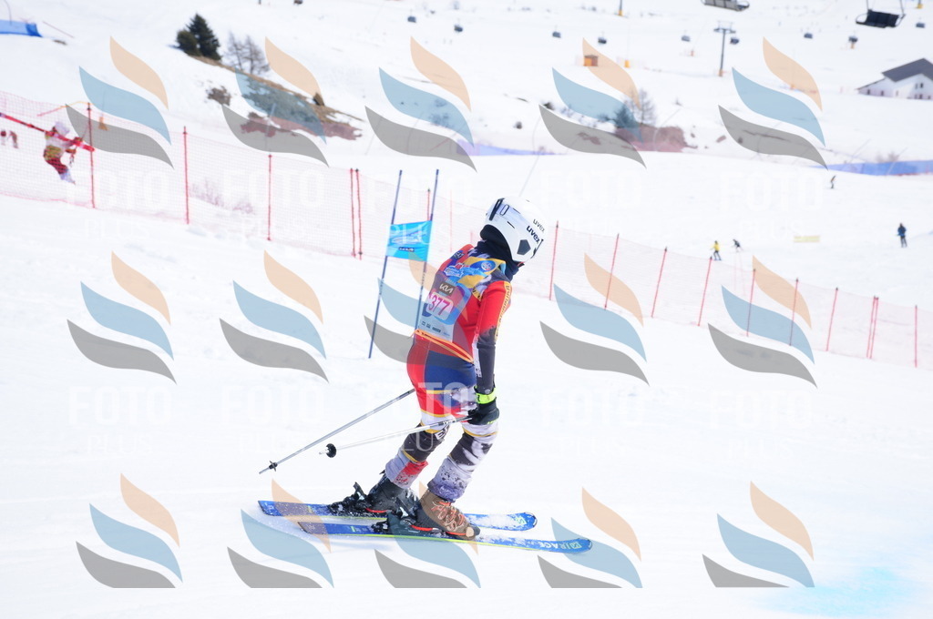 DSC_7381 | holidayphoto