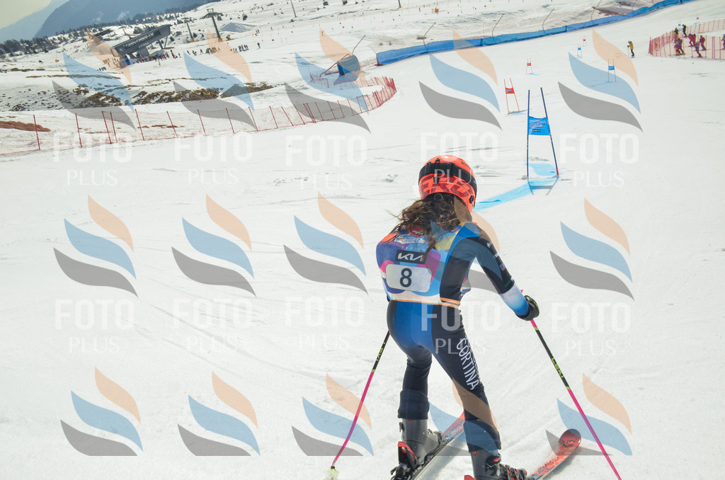 _ELE4512 | holidayphoto