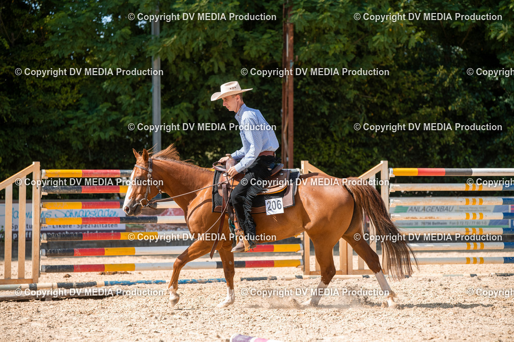 EWP_6884 | dv-media-shop - Realisiert mit Pictrs.com