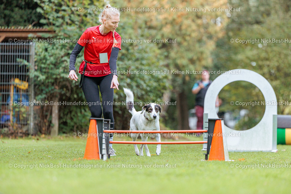 THS-HSV-Blumenthal-2026-Nickbest-Hundefotografie-1612 | Dein Hund! Dein Moment! Deine Erinnerungen! Hundefotografie in Bremen Blumenthal. Ich fange die besonderen Momente deines Vierbeiners ein – ob Indoor mit Blitzanlage oder in der freien Natur. Sicher dir dein Moment und dein Termin für eure Erinnerungen.