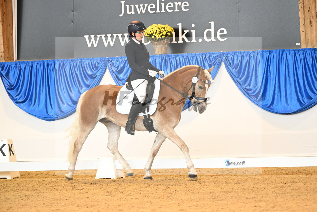 Kat-Nr. 254 Holly_Noack_54221987 | hf-fotografie - Realisiert mit Pictrs.com