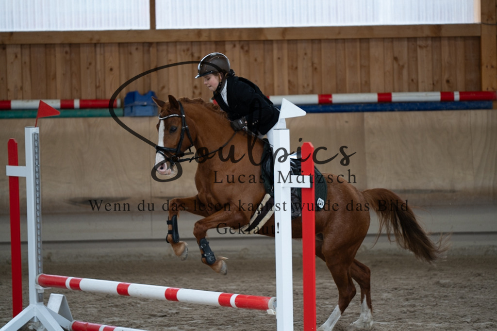 A7V00033 | Pferdefotograf