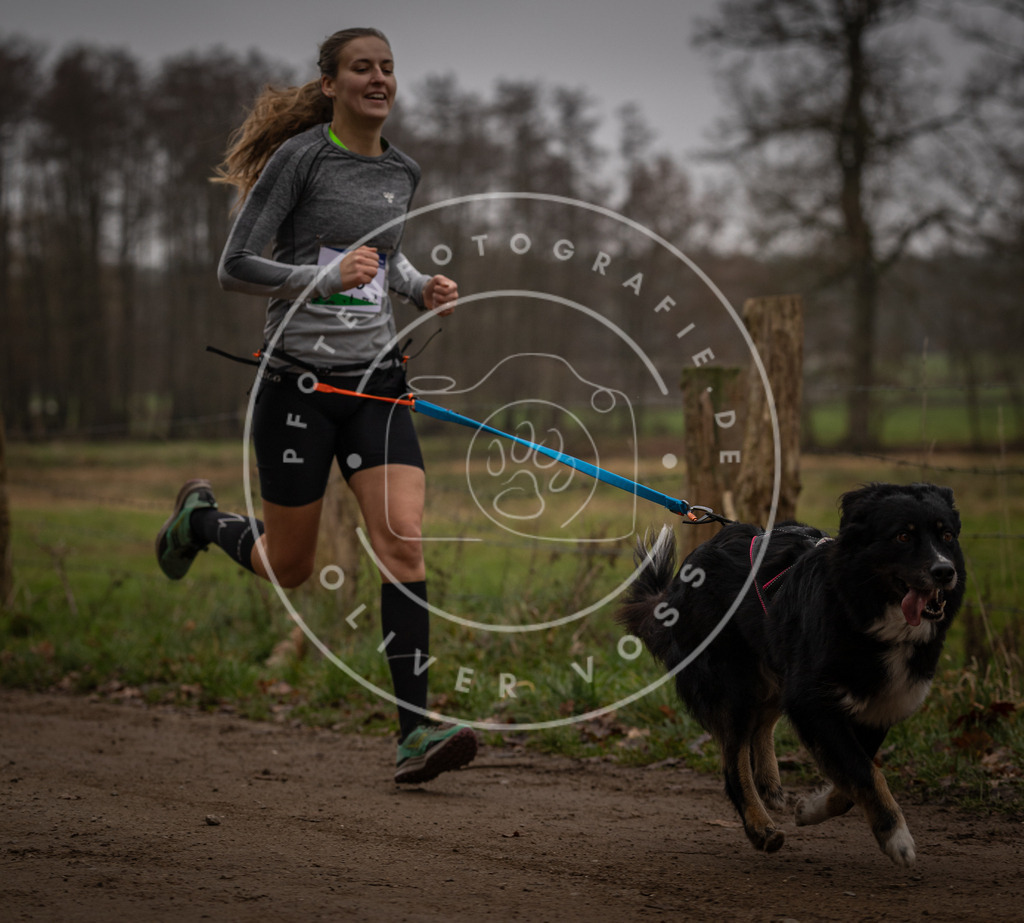 Pfotenfotografie_DV3A2958 | Hundefotografie, Tierfotograf, Pfotenfotografie, Fotoshooting Hund, Hunde Portrait, Hundesport, Hundeportraits, Heideshooting, Hunde, Sportfotograf, Hundefotograf, Turnierhundsport, THS,  - Realisiert mit Pictrs.com