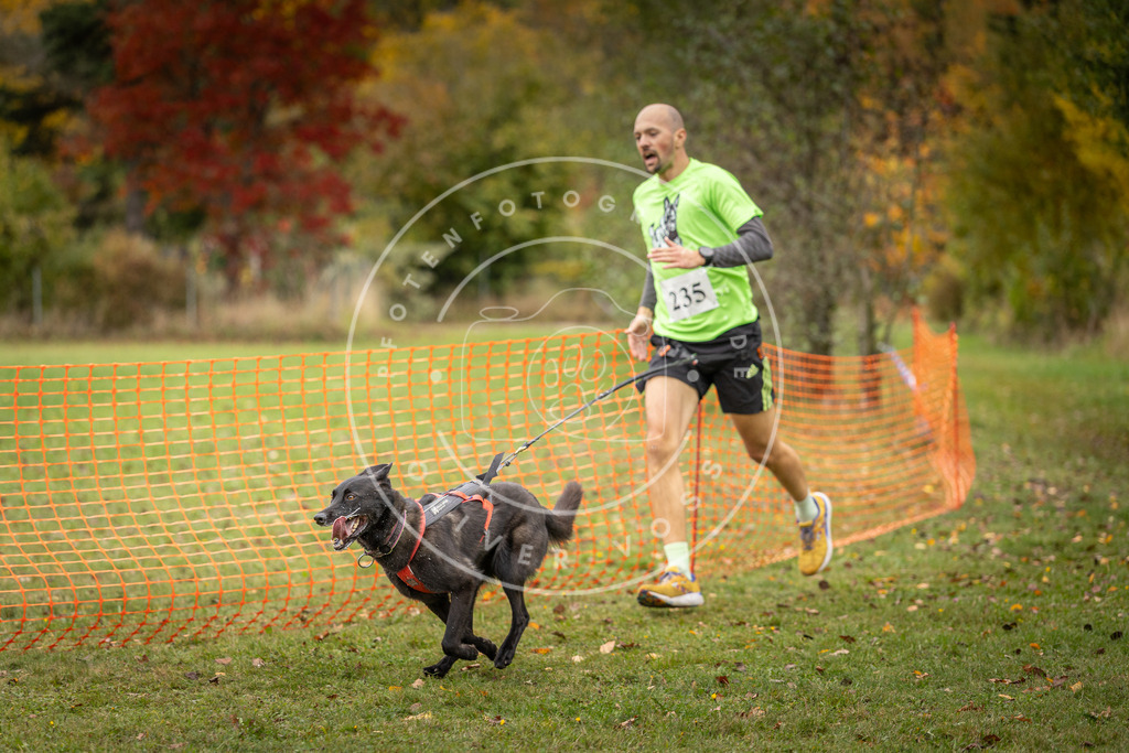 Pfotenfotografie_DV3A4414 | Hundefotografie, Tierfotograf, Pfotenfotografie, Fotoshooting Hund, Hunde Portrait, Hundesport, Hundeportraits, Heideshooting, Hunde, Sportfotograf, Hundefotograf, Turnierhundsport, THS,  - Realisiert mit Pictrs.com