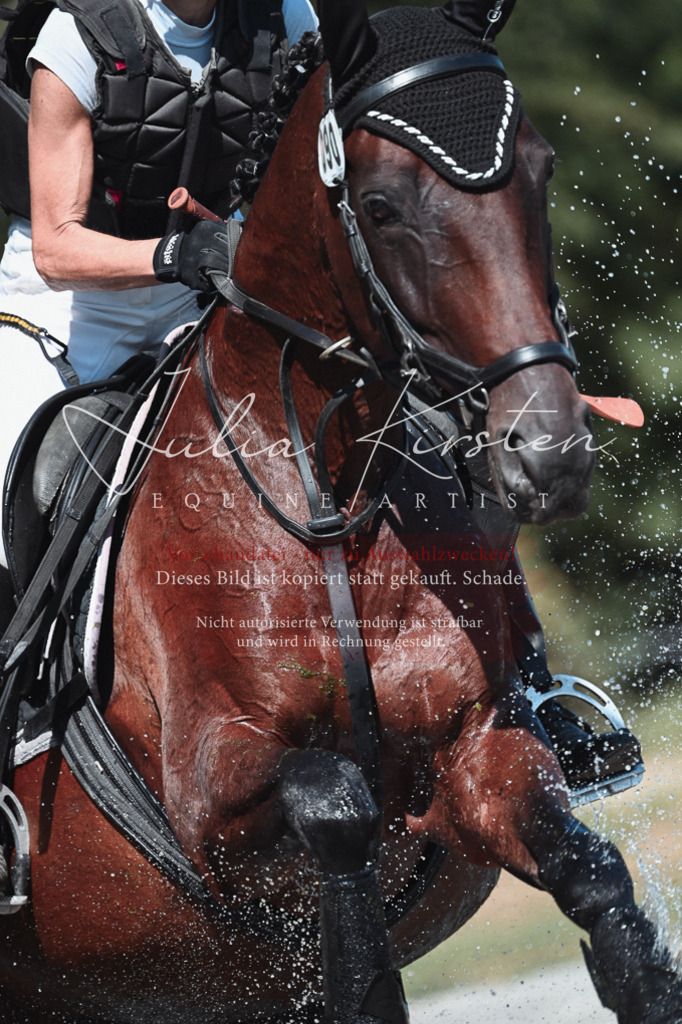 DSC_8527 | Pferde- und Turnierfotografie in Westsachsen. Pferdeportraits, Auftragszeichnungen und intuitive Kunst.