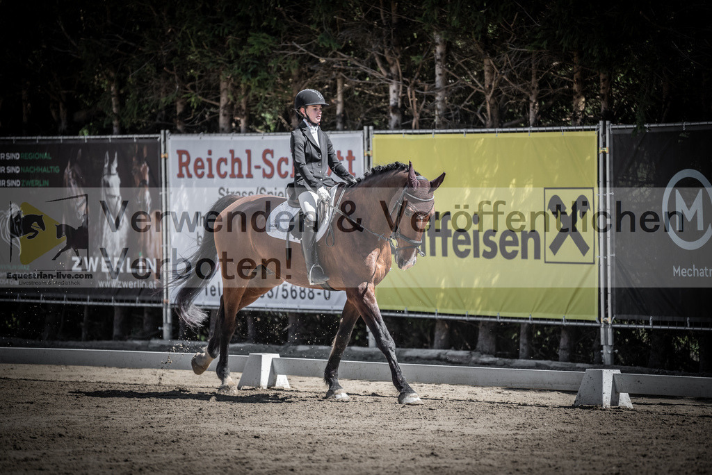 DSC_9905 | equestrian-live-com