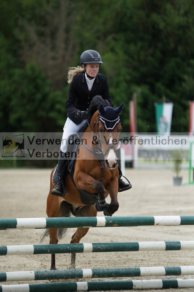 DSC07599 | equestrian-live-com