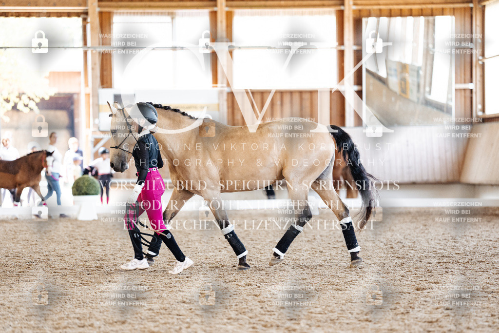 CK907202 | Turnierfotografie Pferdefotografie Trier Rheinland-Pfalz Pferdesport Reitsport Tierfotografie Sportfotografie Pferdevideo Pferdevideografie Equestrianvideography equestrianphotography  - Realized with Pictrs.com