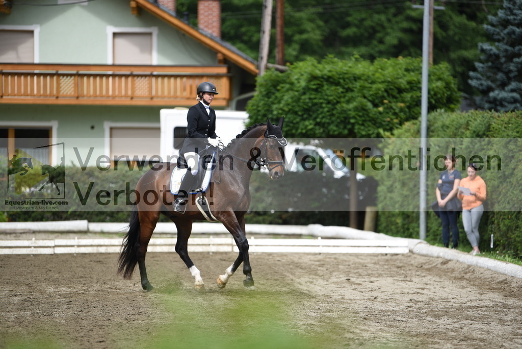 DSC_4436 | equestrian-live-com