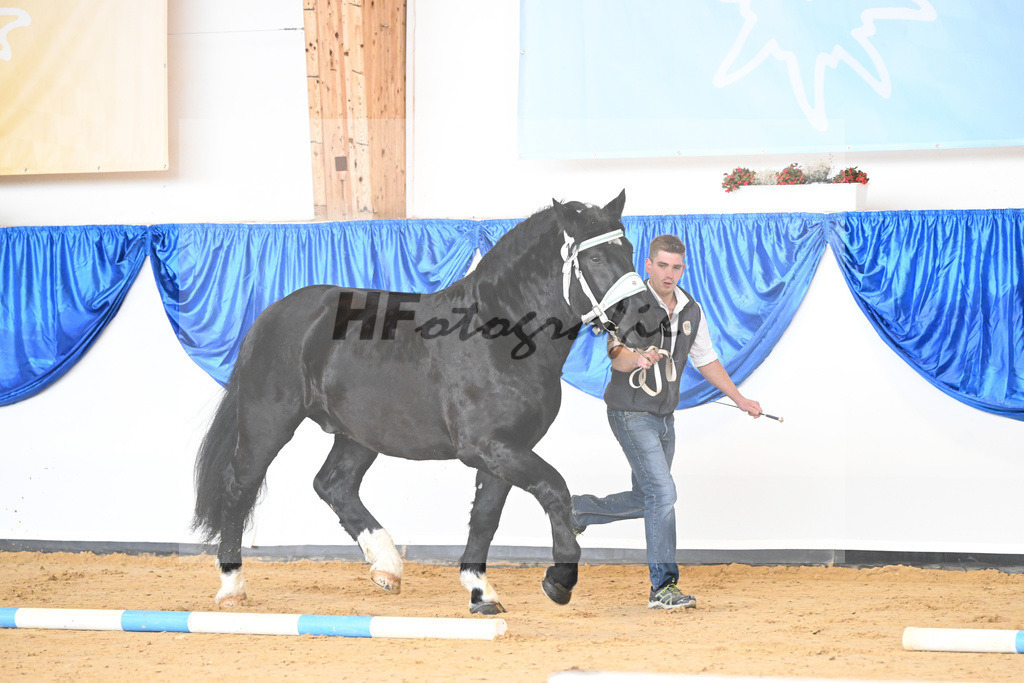 Kat-Nr. 2 Garland v. Ganimedes_Mayr_61220010 | hf-fotografie - Realisiert mit Pictrs.com