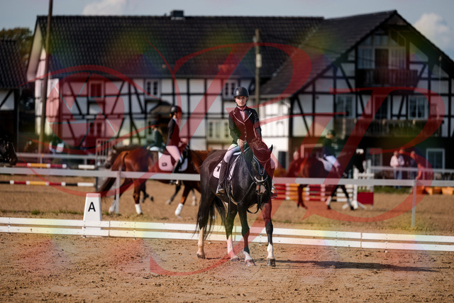 2026_10_03_Siefer-Hof_121810_Z63_41966452 | Professionelle Reitsport-, Turnier- und Eventfotografie von Robert Broda. Galerien mit ausgewählten und bearbeiteten Bildern direkt online ansehen und bestellen.