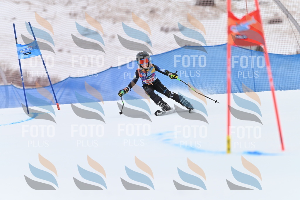 BGV_2791 | holidayphoto