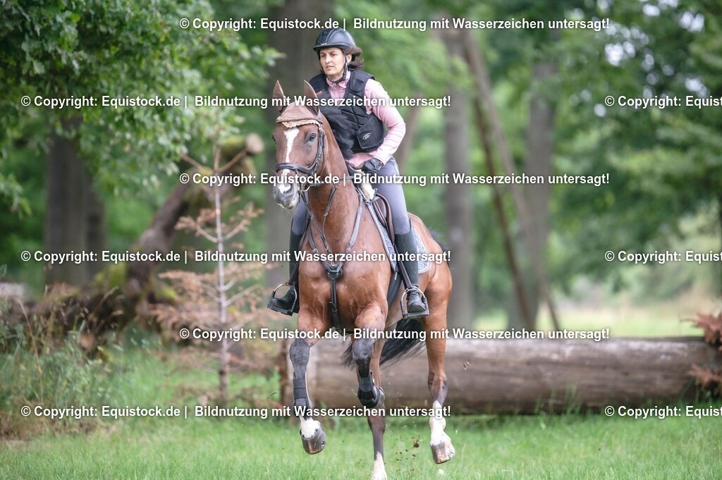 20250726_Vielseitigkeitslehrgang-Marbach_0248 | Foto: Thomas Hartig