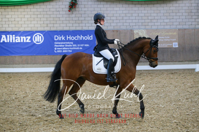 IMG_2813 | Turnierfotos kaufen im Webshop von Daniel Kuhl Photography – entdecke professionelle Reitsportfotos aus Turnieren & Events. Hochwertige Turnierbilder online bestellen & sichern. Jetzt Fotos von Reitsportturnieren kaufen!