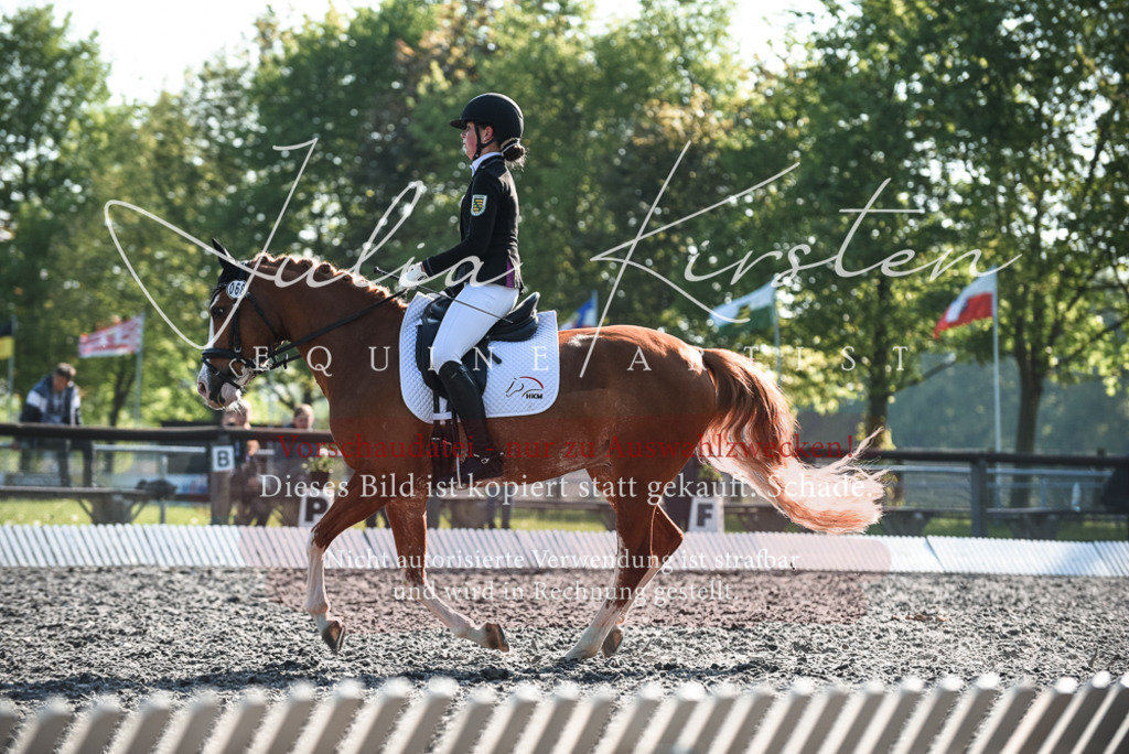 DSC_8261 | Pferde- und Turnierfotografie in Westsachsen. Pferdeportraits, Auftragszeichnungen und intuitive Kunst.