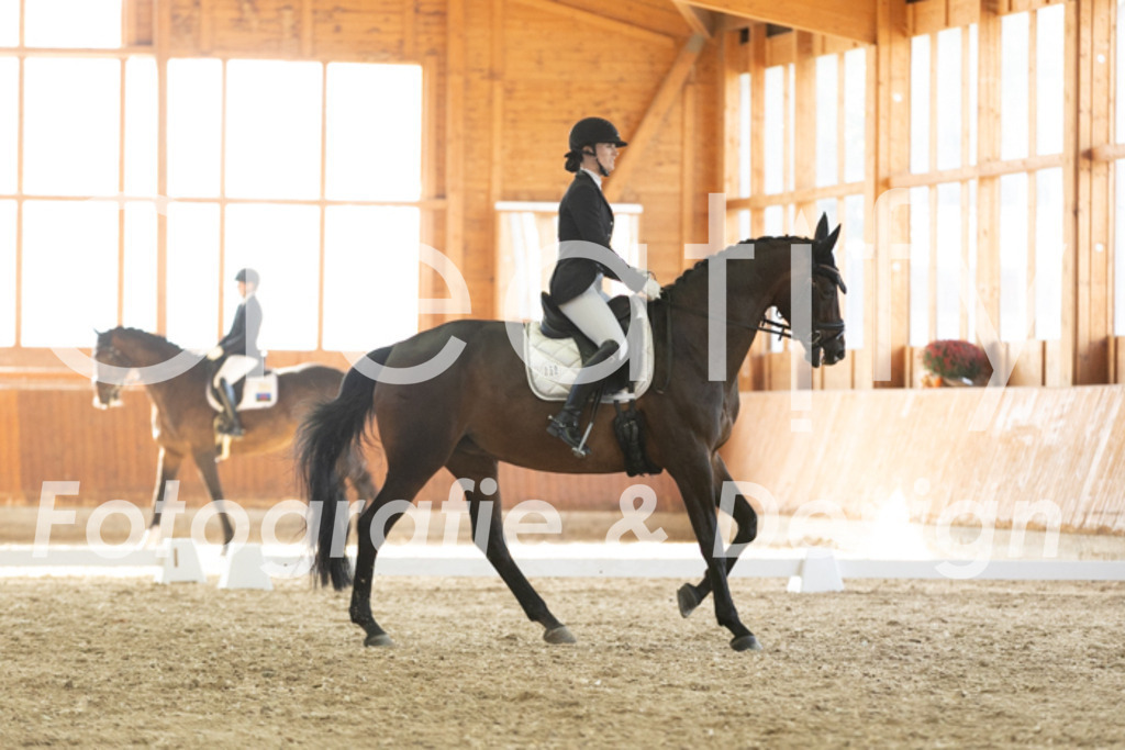 IMG_3389 | Creatify Fotografie