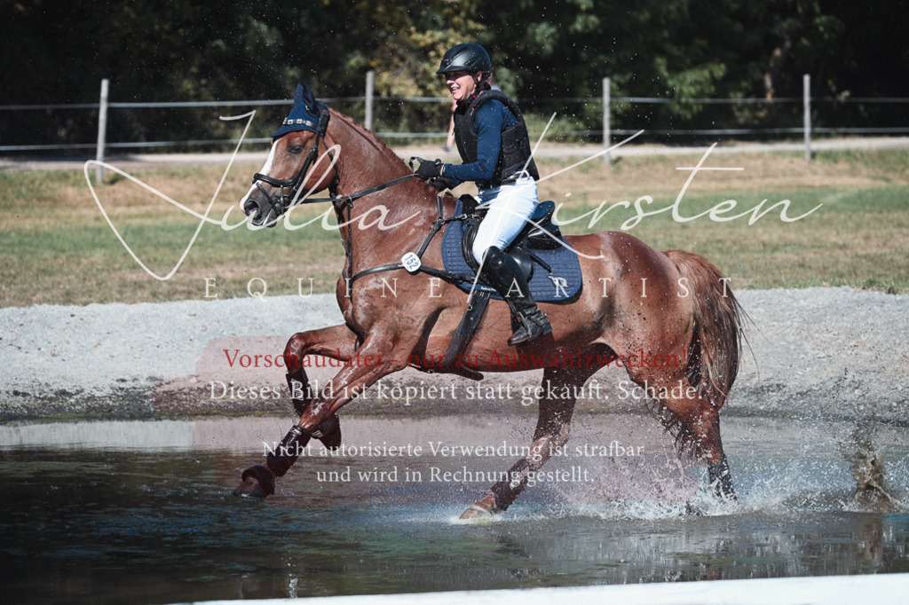 DSC_8627 | Pferde- und Turnierfotografie in Westsachsen. Pferdeportraits, Auftragszeichnungen und intuitive Kunst.