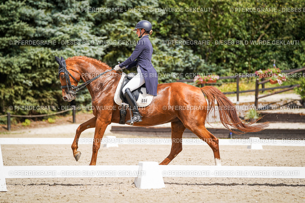 DSC06344 | Pferdegrafie