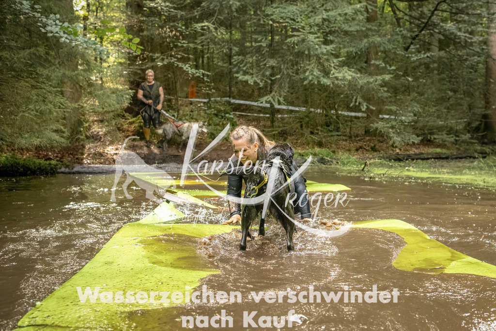 1406_ZZ90925-Bearbeitet | kk-dogfotos