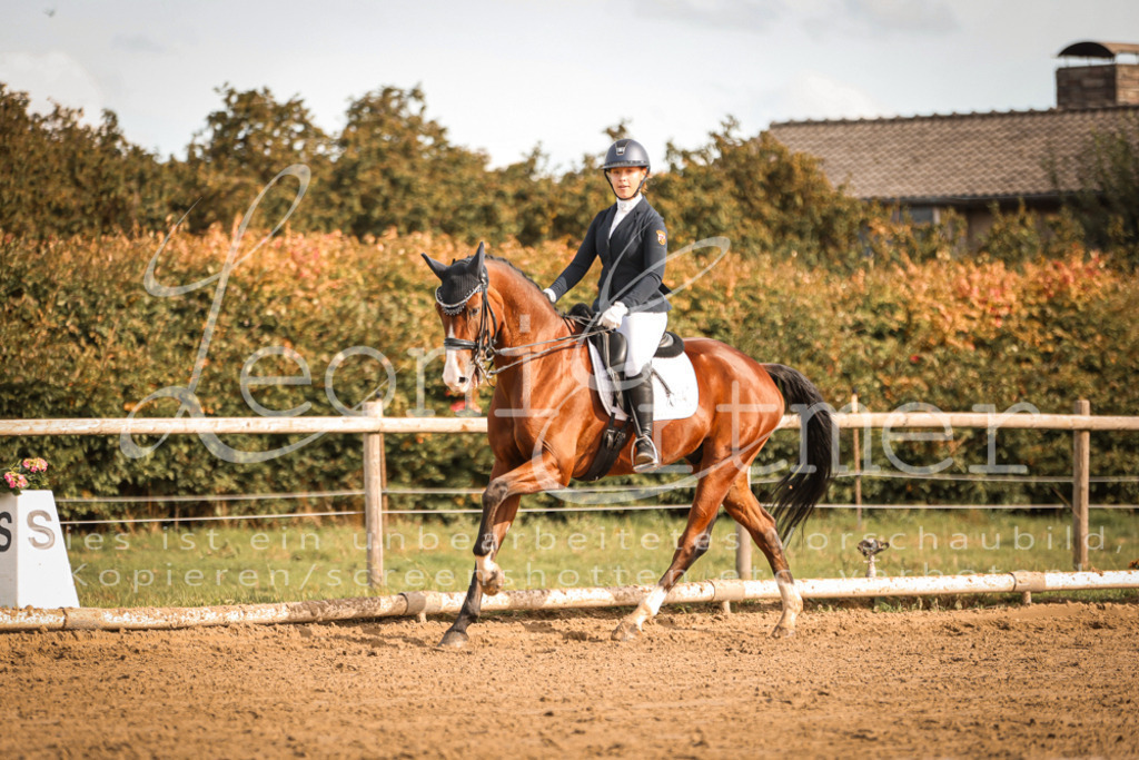 17.SoDrM00267 | Leoni Ertmer Photography - Realisiert mit Pictrs.com