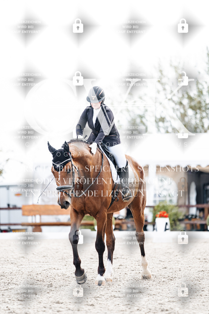 CK900893 | Turnierfotografie Pferdefotografie Trier Rheinland-Pfalz Pferdesport Reitsport Tierfotografie Sportfotografie Pferdevideo Pferdevideografie Equestrianvideography equestrianphotography  - Realisiert mit Pictrs.com