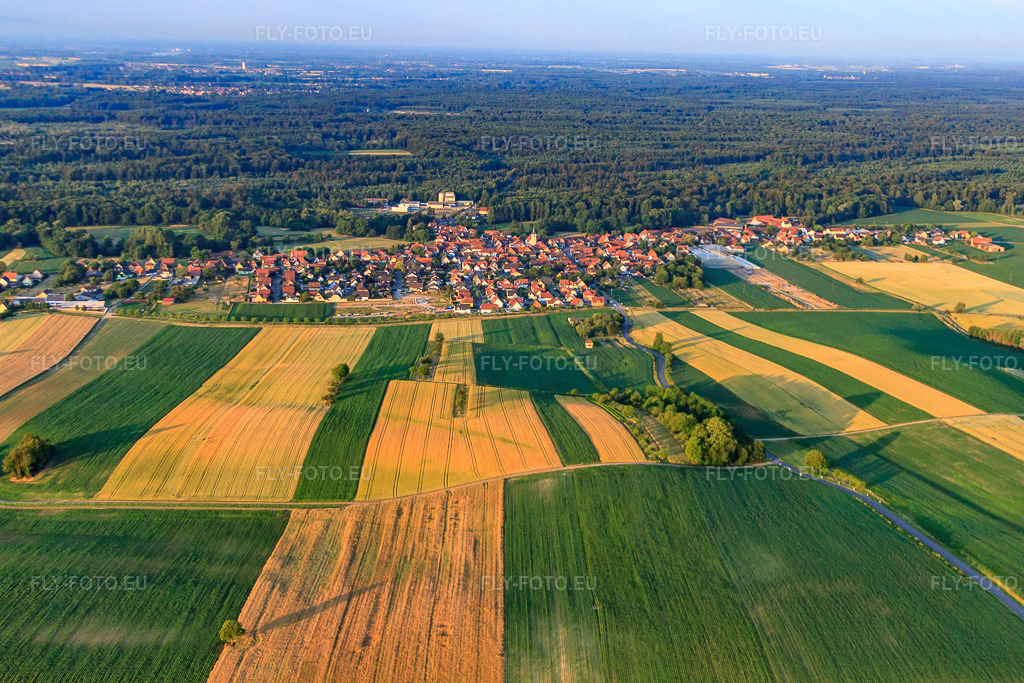 Vue aérienne: Vue de la ville depuis le nord à Niederrœdern dans le département Bas Rhin, France – .Photo: IMG_67982.jpg prise le 19/06/2014 par Werner Riehm/FLY-FOTO.eu – Résolution de l'original: 4525 x 3017 px